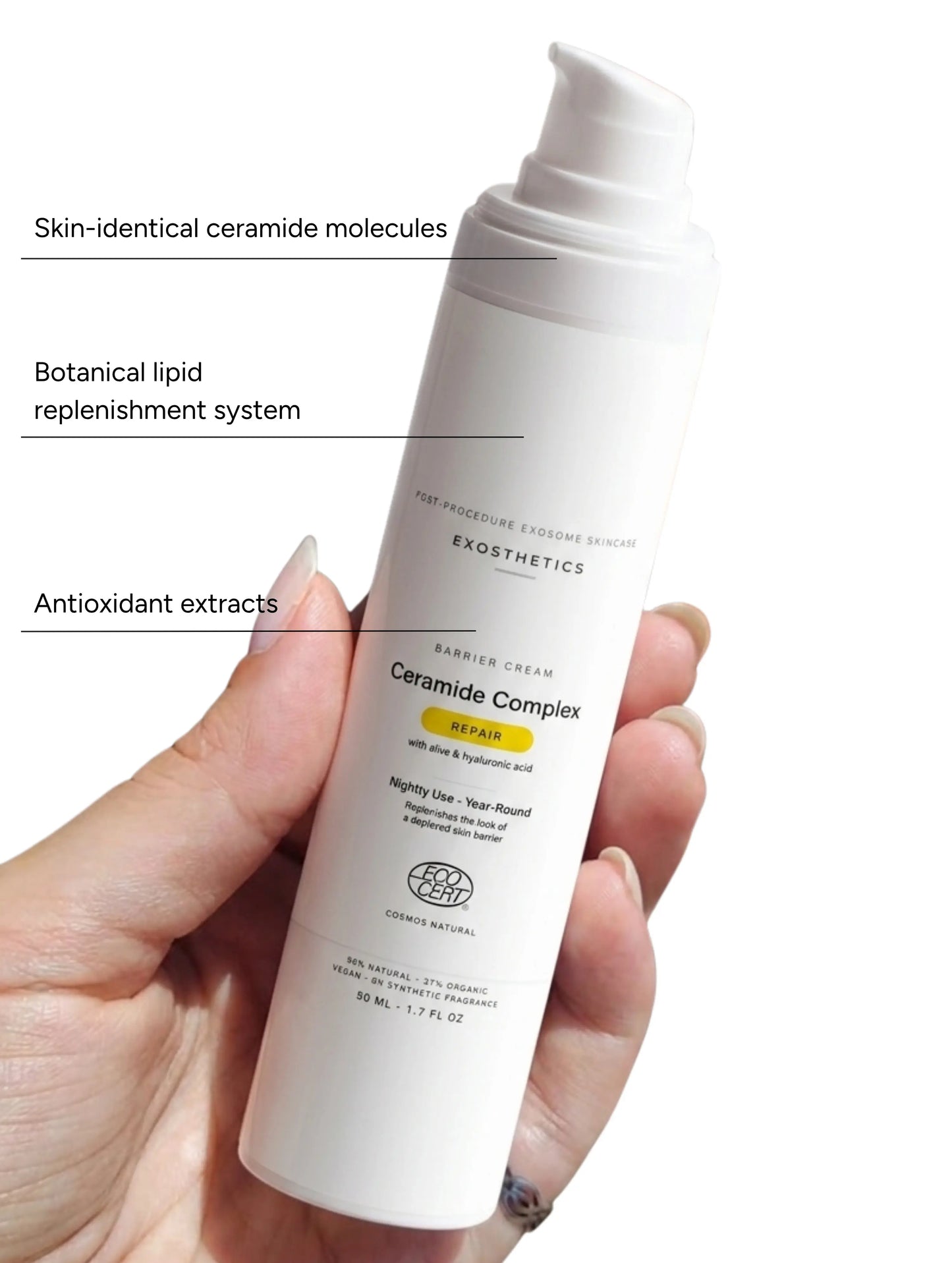 Ceramide Repair Complex